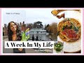 Weekly Vlog || African Food Shopping haul, A trip to Hampton Court Palace, Yummy Brunch &amp; More ....