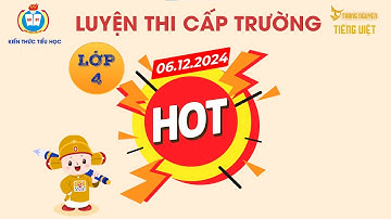 ĐỀ ÔN ĐẶC BIỆT (3) LỚP 4 - VÒNG CẤP TRƯỜNG - TRẠNG NGUYÊN TIẾNG VIỆT (2024 - 2025)