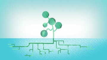 The future of international cyber capacity building