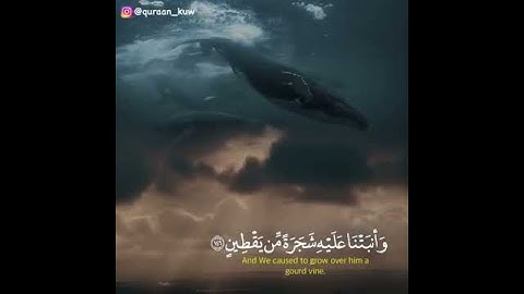 قرآن كريم || حالات واتس ||🍁💜تلاوة خاشعة بصوت الشيخ عبدالله الخلف