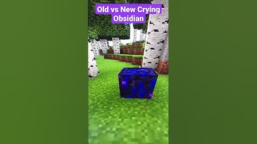 Old vs New #build #command #minecraft #new #gameplay