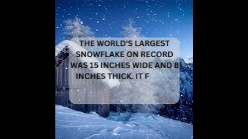 Unbelievable! You Won