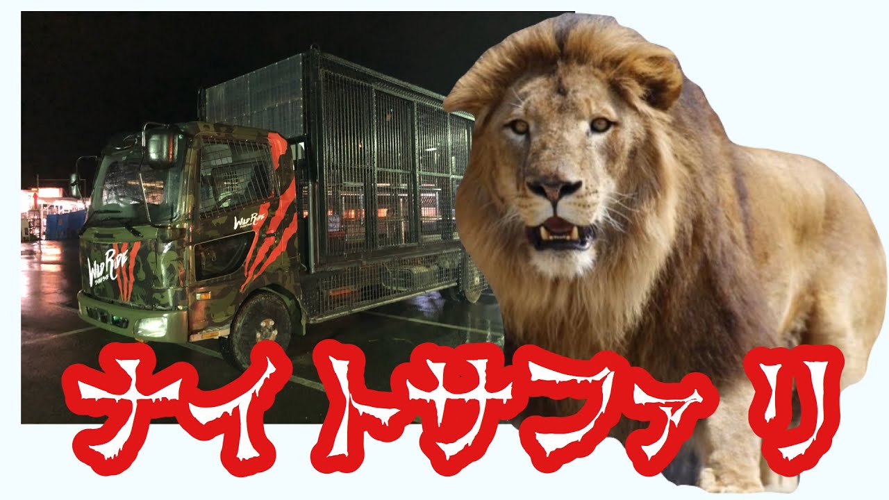 生きて帰れるか Wild Ride 那須ナイトサファリパーク Youtube