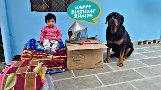 best dog YouTube channel in India | Rottweiler dog videos |