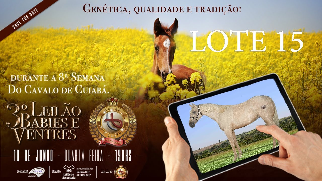 LOTE 15 DOLLAR CHEX DUNNIT YouTube