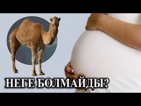 Жалаңаш комедиялық фотолар