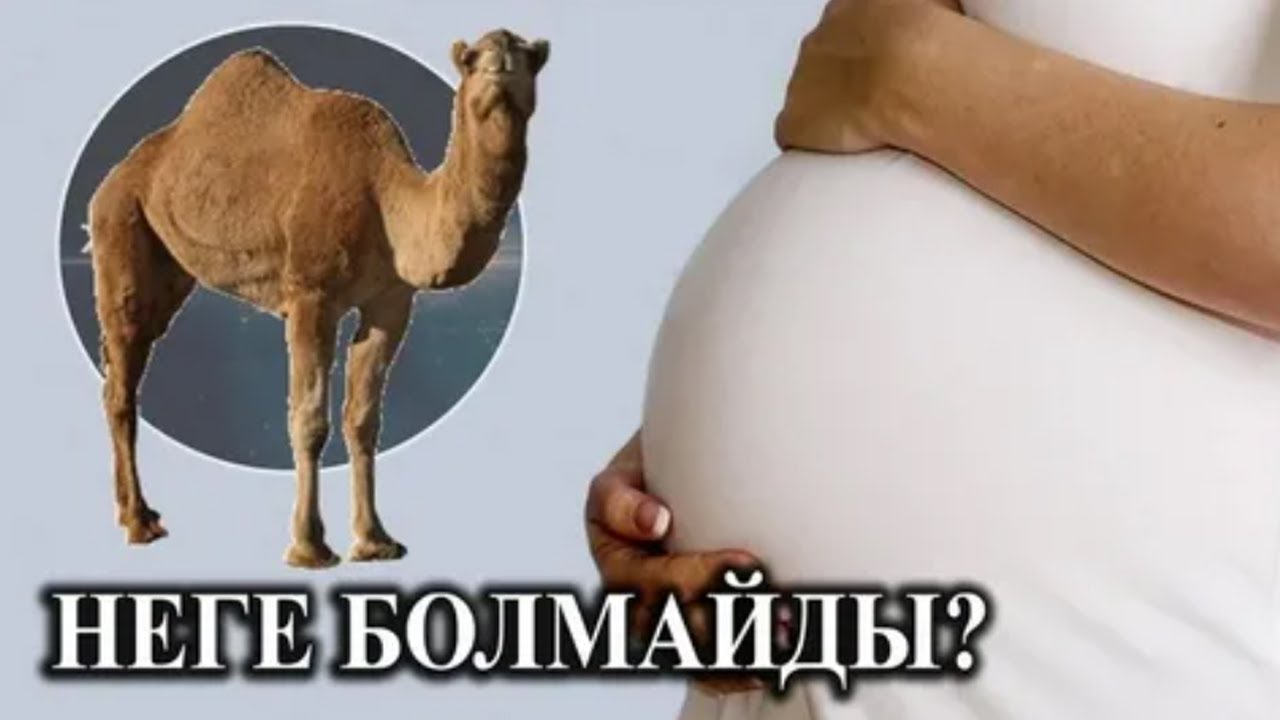 Толық еріндер ауызша секс поцелуй