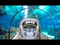 China Builds World's First High-Speed Rail Undersea Tunnel, Astounding American Engineers!