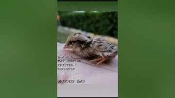 Maths, class5, chapter 7, Geometry, video 3, Amrit Indo Canadian Academy