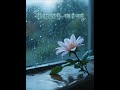 तेरे बिना | जो चाहा है उसे सुना दो यह गीत रात को 🌷 #LoveSong #SadRomantic #HeartTouchingMusic