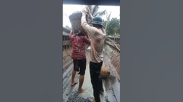 cuộc đời bốc vác quá cực khổ các bác ơi