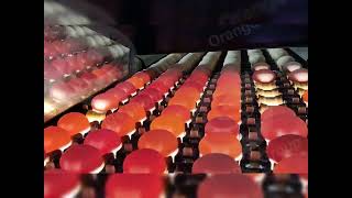 Orangemech Automatic Egg Packing Line High-Speed, Hygienic Reliable Egg Packaging