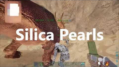 [SilicaPearls] Official Small Tribes| Meat Run #1