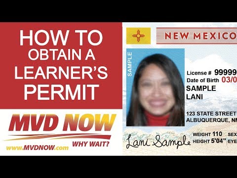 How To Obtain A Learners Permit - Requirements