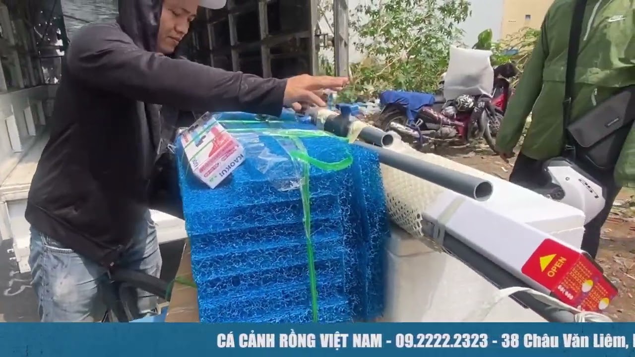 Giao hồ và cá cho anh khách ở Đảo Kim Cương Q2