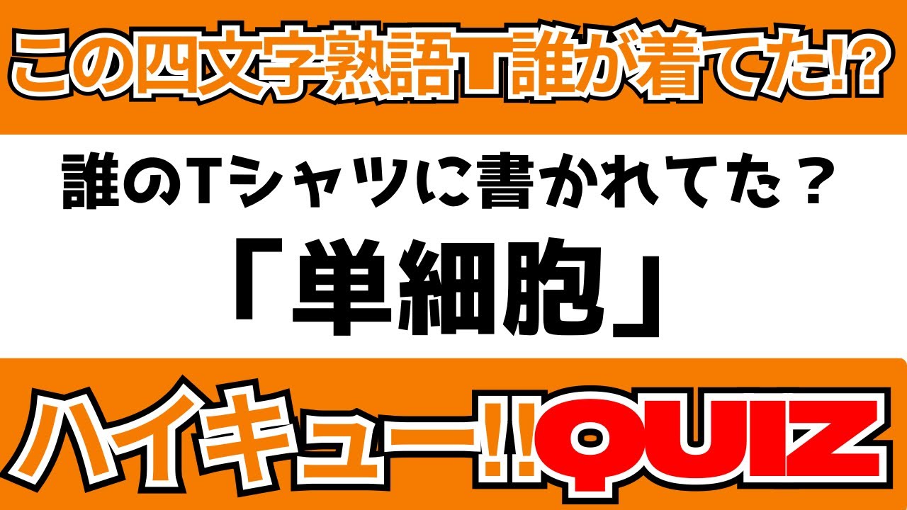 【クイズ】ソイソイソォォイ‼️ハイキュー四文字熟語Tシャツクイズ❗️🏐【10問】