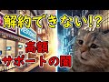 【猫ミーム】PCデポの高額サポート契約の闇…高齢者を狙った手口の実態とは？
