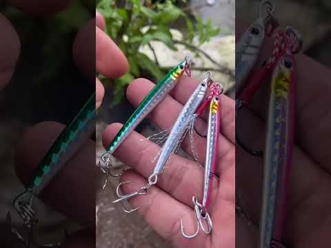 Mòi kim loại câu cá siêu nhạy