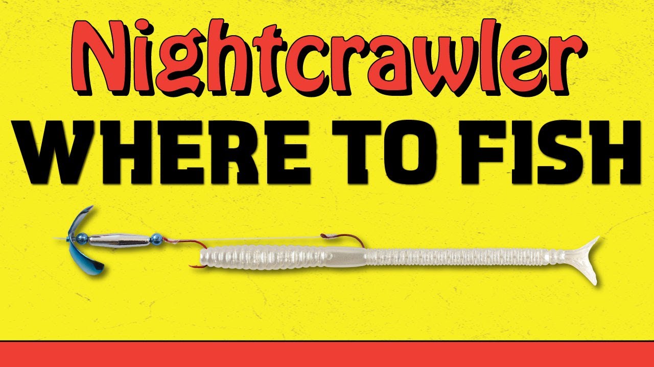 Where to Fish - Eye-Candy Nightcrawler