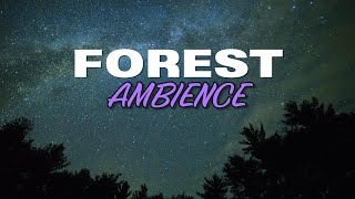 Forest Ambience – Rain &amp; Soft Wind 4 Hours