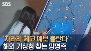 '차라리 체코 예보 볼란다'…해외 기상청 찾는 망명족 / SBS screenshot 5