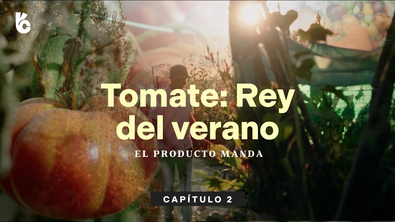 TOMATE: EL REY DEL VERANO - El producto manda | Capítulo 2