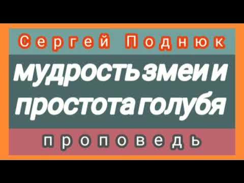 Будьте как змеи мудры и просты голуби. Будьте как змеи мудры и просты голуби