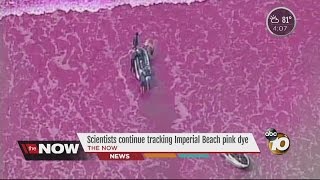 10News: The Now San Diego
