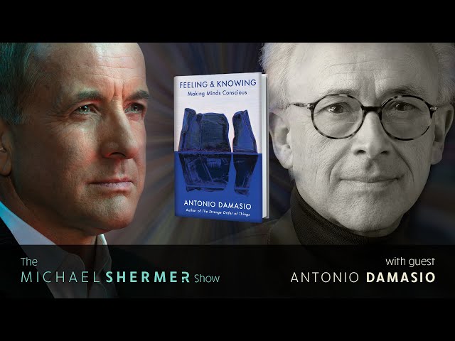 Antonio Damasio and Anil Seth, Activities