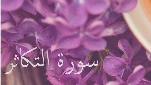 سورة التكاثر 102