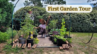 Black Girls Garden: Backyard Garden Tour