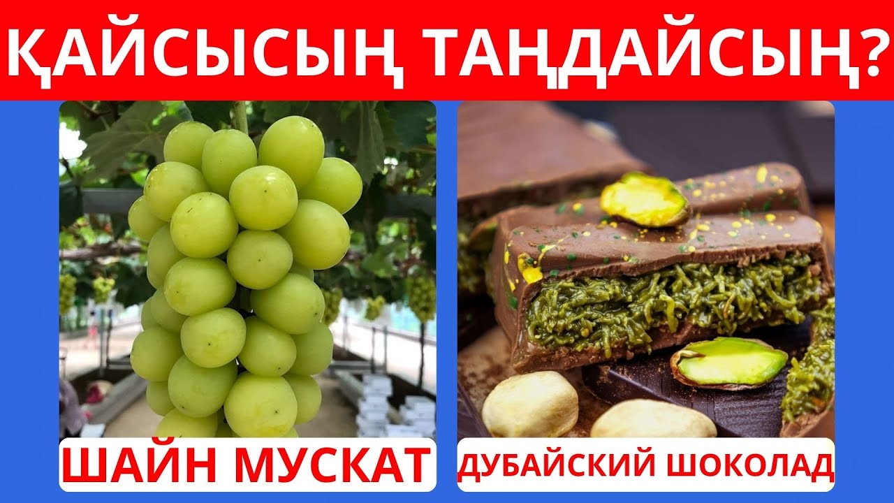 БІР ТАҒАМДЫ ТАҢДА? ӨТЕ ҚЫЗЫҚТЫ СҰРАҚТАР😲