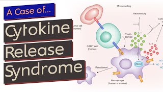 Cytokine Release Syndrome