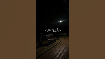 قرآن راحة نفسية #تلاوة_خاشعة #قرآن #القرآن_الكريم #اكسبلور #راحه_نفسيه #لايك #راحة_نفسية