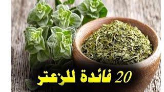 فوائد الزعتر أن تشرب وتاكل الزعتر يوميا يحميك من تصلب الشرايين والميكروبات والجلطات وهشاشة العظام