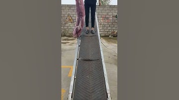 Folding belt conveyor. There are wheels in the front and rear, which can be braked and moved.