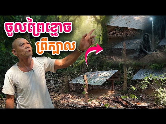 តានាំចូលព្រៃខ្មោច ព្រឺរោម!