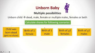 Lesson 12: Assorted Matters in Inheritance - Practical Guide to Islamic Laws of Inheritance