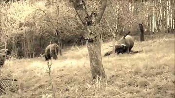 Valanx (Arne Weinberg) & The Exaltics = Val_ex - metacognition {Riot}