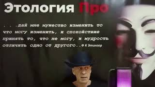 006   Собирательство как инстинкт : Новые джунгли для голой обезьяны R