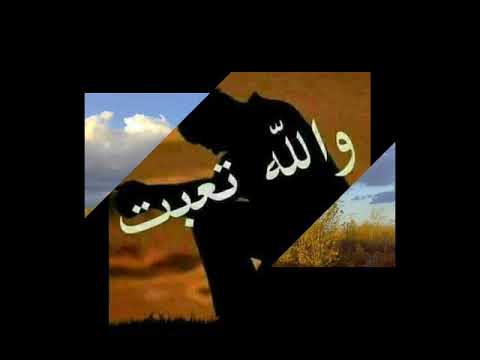 حلا القصير