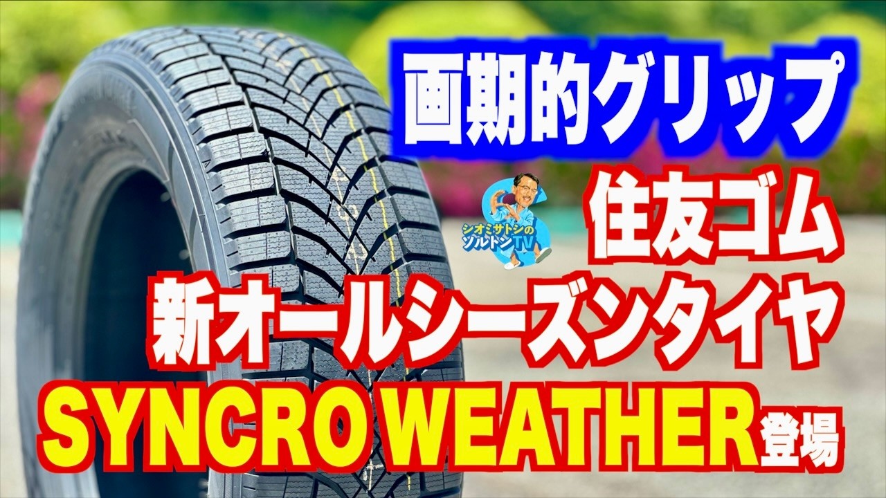 185/65R15 92H XL DUNLOP SYNCHRO WEATHER ダンロップ 打ちまくれ 