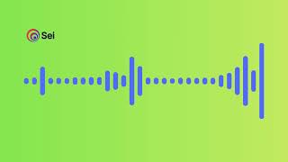 Sei AI Voice Agent - Debt Collection and Wallet Authorisation - Demo