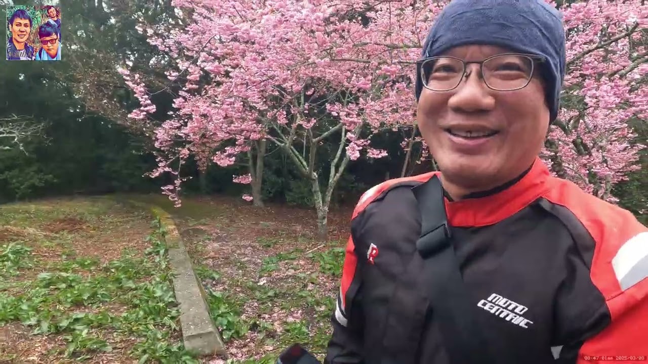 福壽山農場-千櫻園