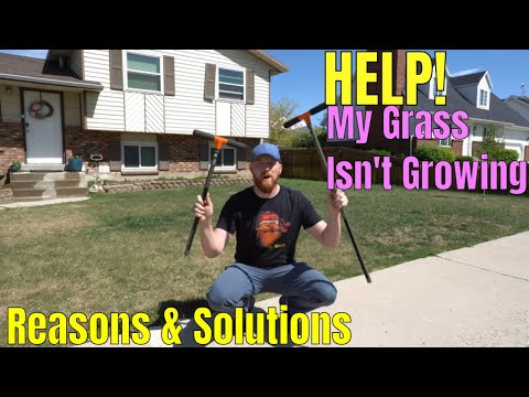 Video: Ar žolės maišymas nėra geras?