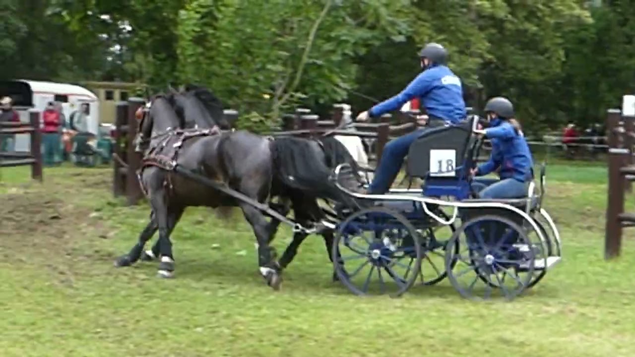 45 CAMPBELL, Roger, GBR, CAIO4# H2, Donaueschingen, Marathon Ob5, Pairs horses, 14 09 2024