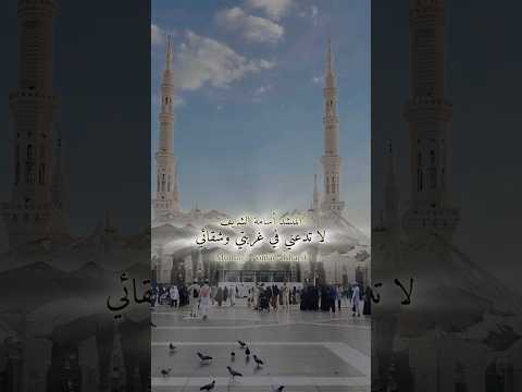 انت سماء في أرض البلايا على باب النبي Osama Alsharif اكسبلور تصميمي على باب النبي ترند جديدي