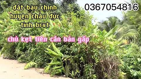 bán đất vườn có viêw suối đẹp tại bàu chinh châu đức  bà rịa vũng tàu sát ngay trung tâm thị trấn .
