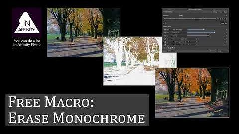 Free Macro: Erase Monochrome (in Affinity Photo)