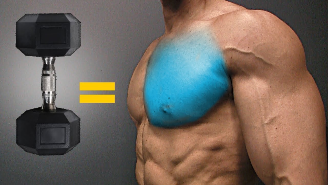 The BEST Dumbbell Exercises - CHEST EDITION! 